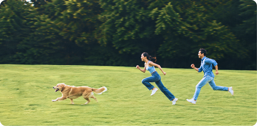 两位年轻人与一只金毛犬在草地上奔跑